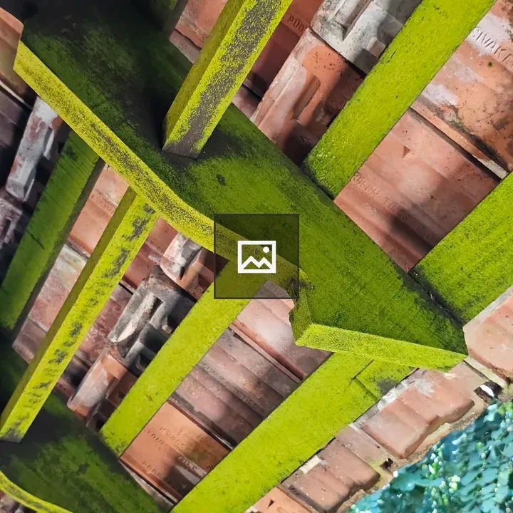 Geometric view of wooden roof trusses