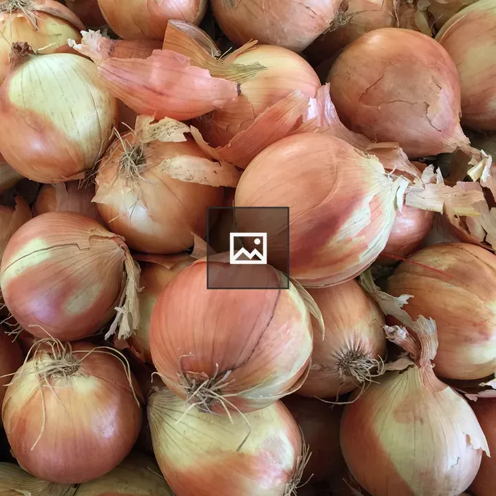 Farmers' Market Yellow Onions