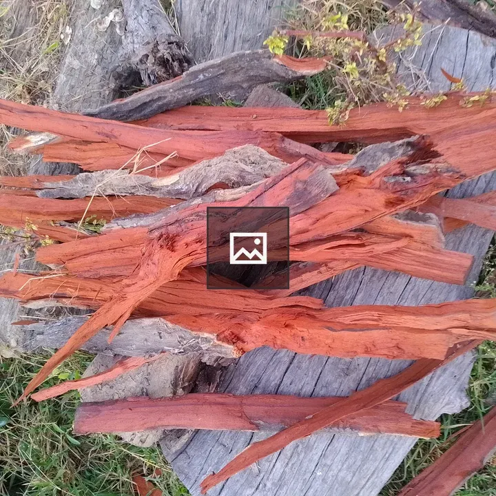 Wood Pieces and Dried Grass