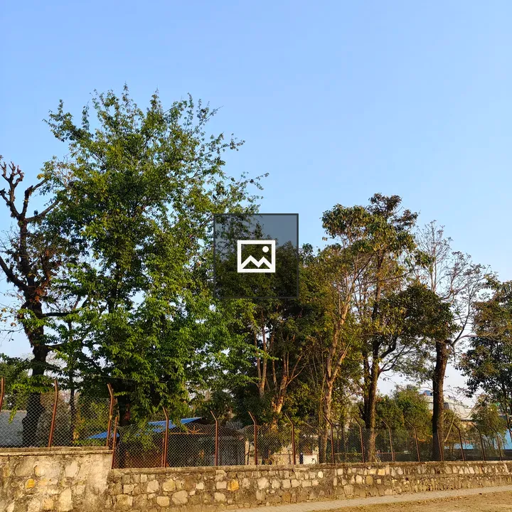Landscape with Trees and Blue Sky