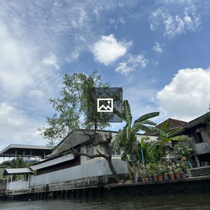 Waterfront with houses and large tree