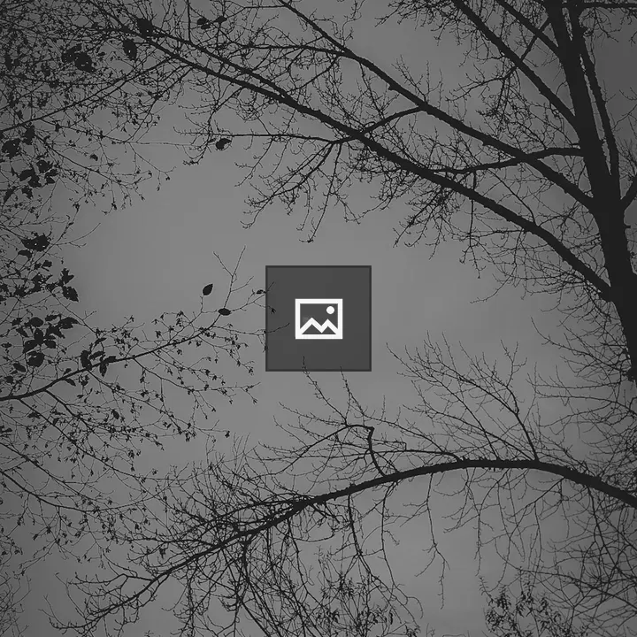 Moon Among Tree Branches