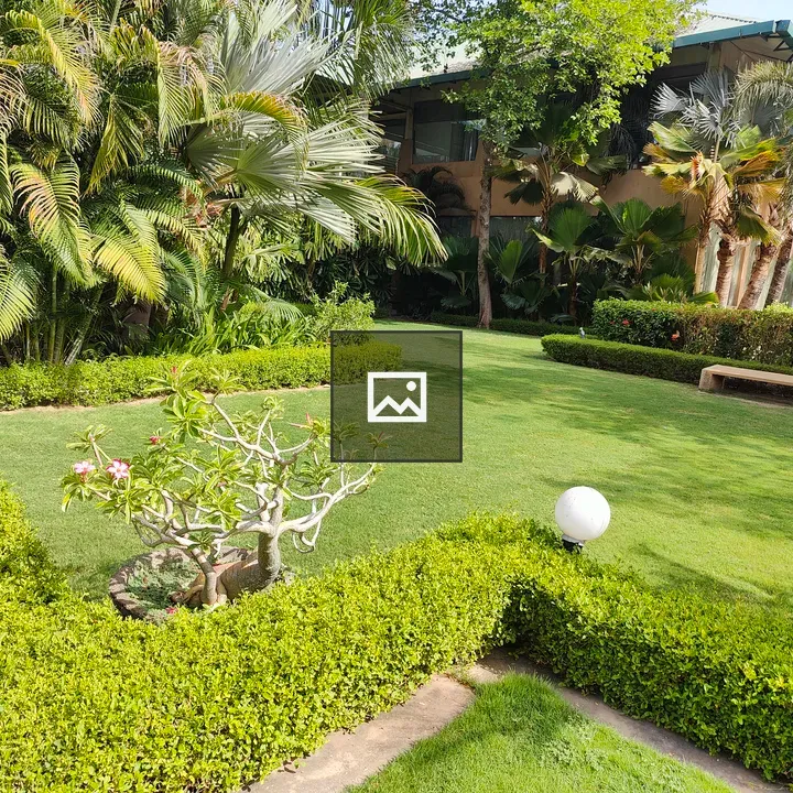 Garden and greenery scene