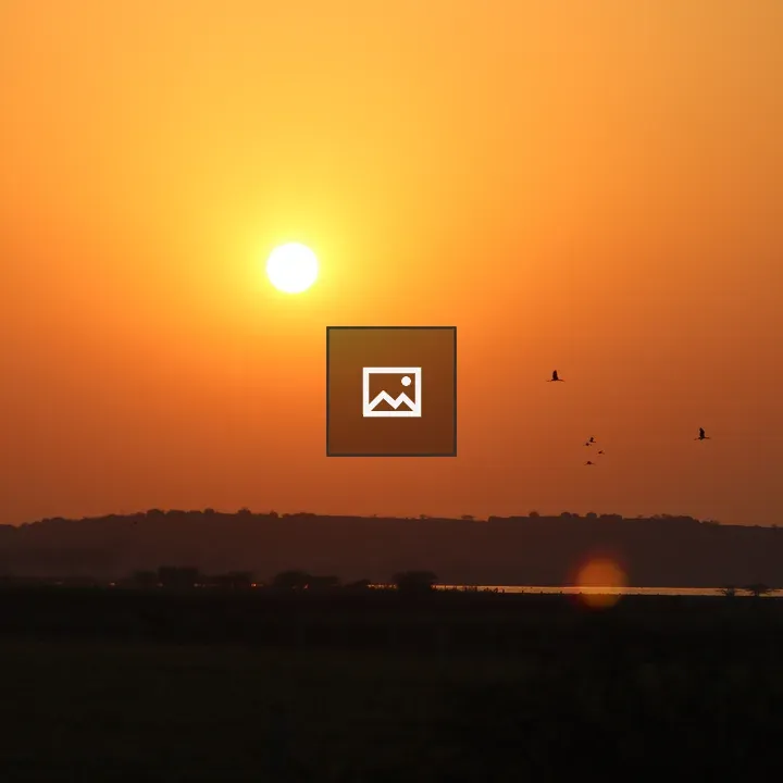 Evening Light Over Countryside
