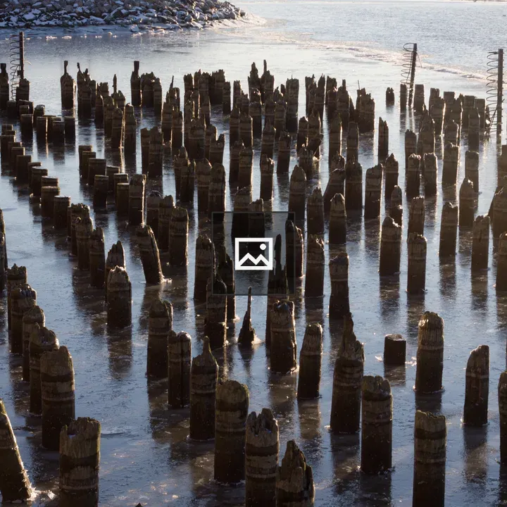 Old dock pilings on the Hudson