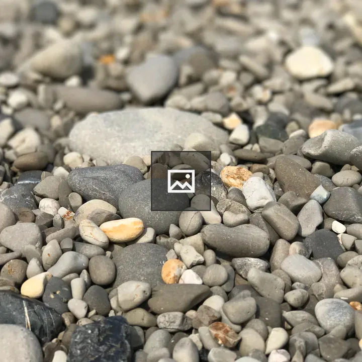 Pebbles and rocks in dry creek bed