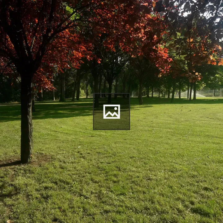 Park Scene with Red and Orange Leaves