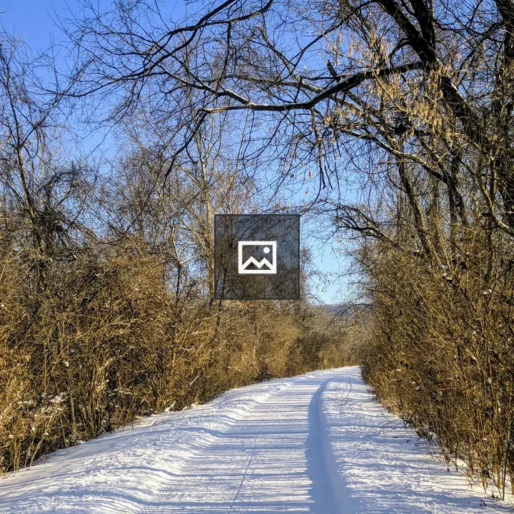 Snowy Path Through Trees