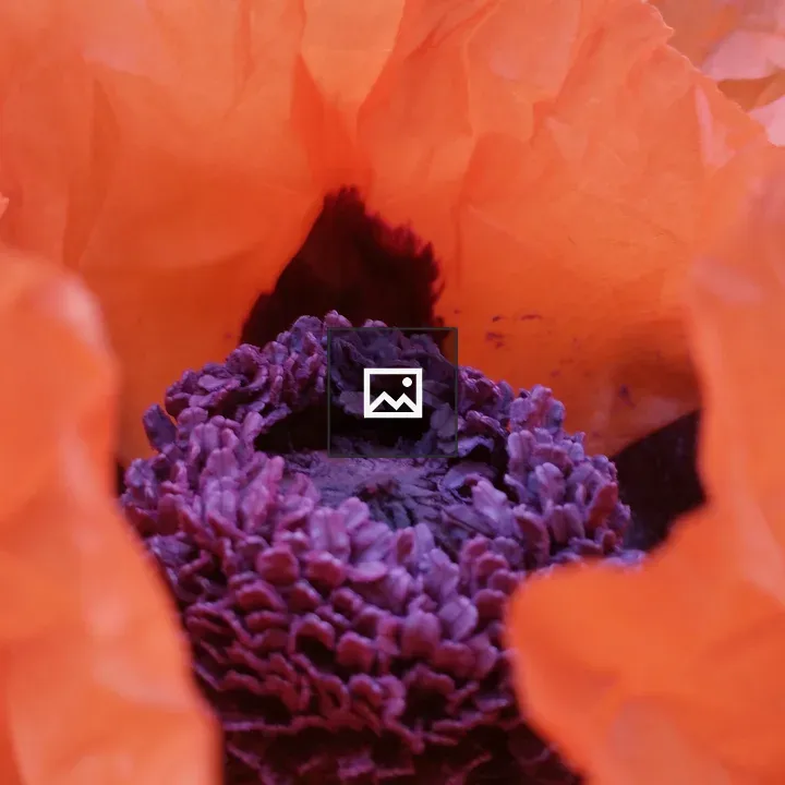 Poppy core