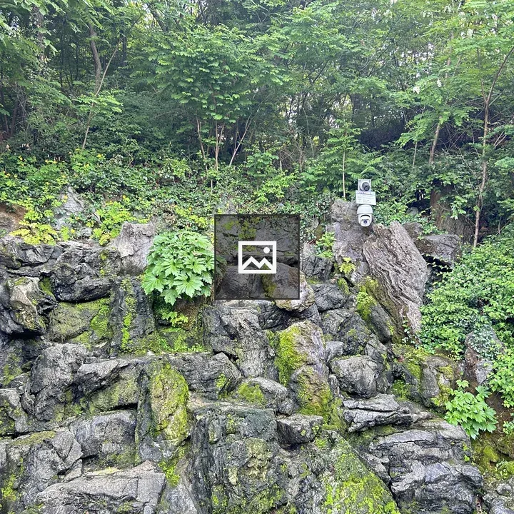 Rocky hillside with green moss