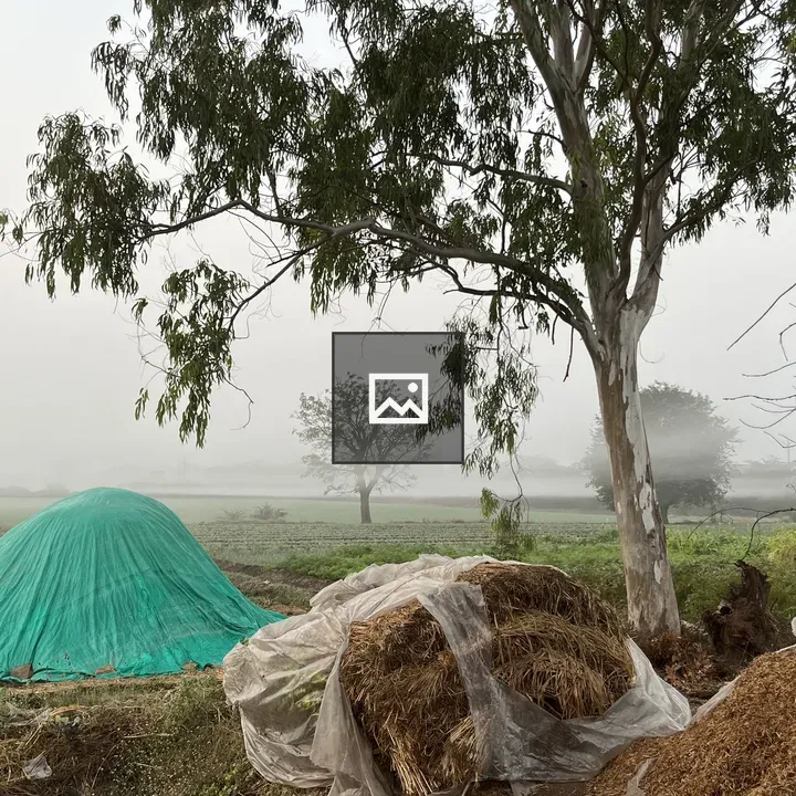 Tree with Hay Bag