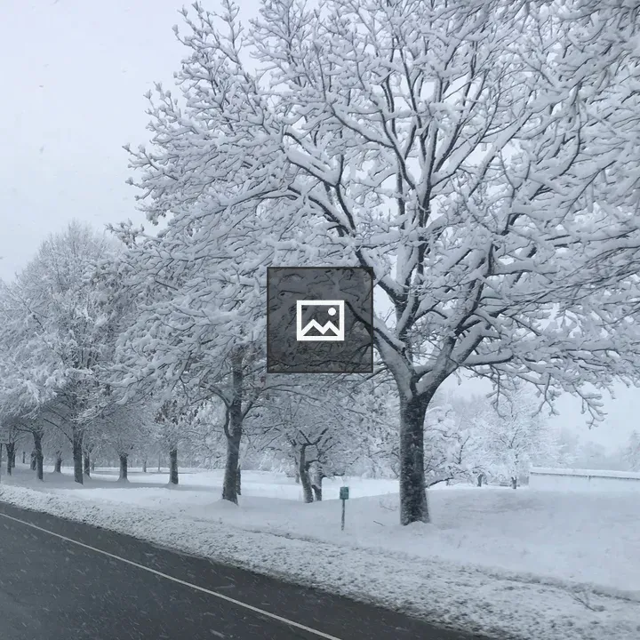 Snow Day in Clifton Park