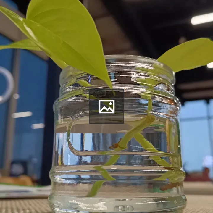 Plant clipping in water