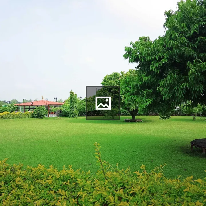 Green Scenery with Trees and Grass
