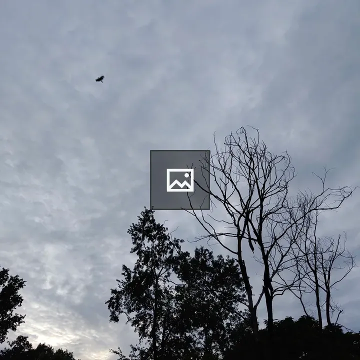 Silhouette of Trees Against Cloudy Sky
