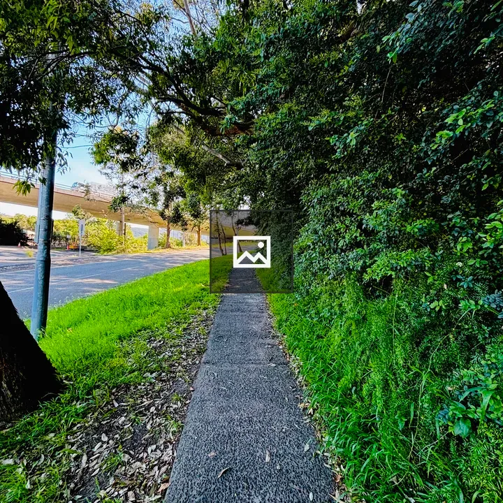 Small road between bushes and grasses