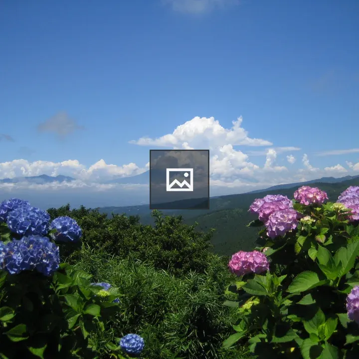 Hydrangea at Jikkoku Pass