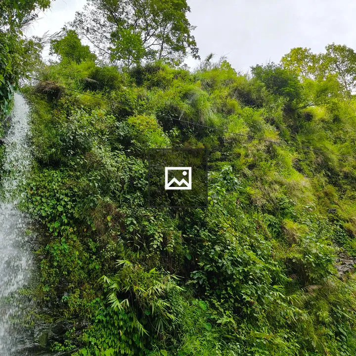 Green hillside with waterfall