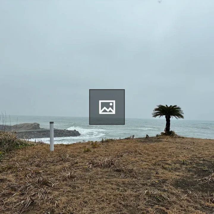 Palm Tree on Grassy Slopes