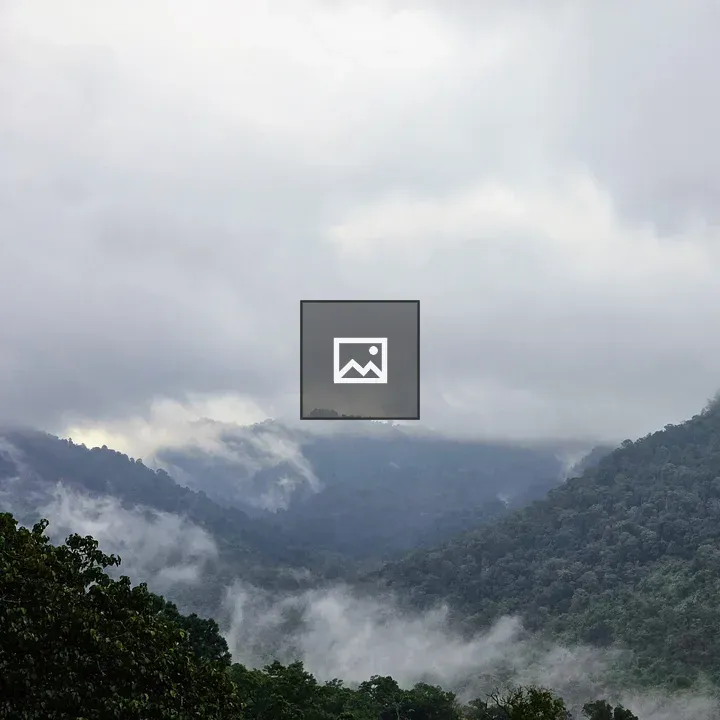 Misty Mountains in a Forest