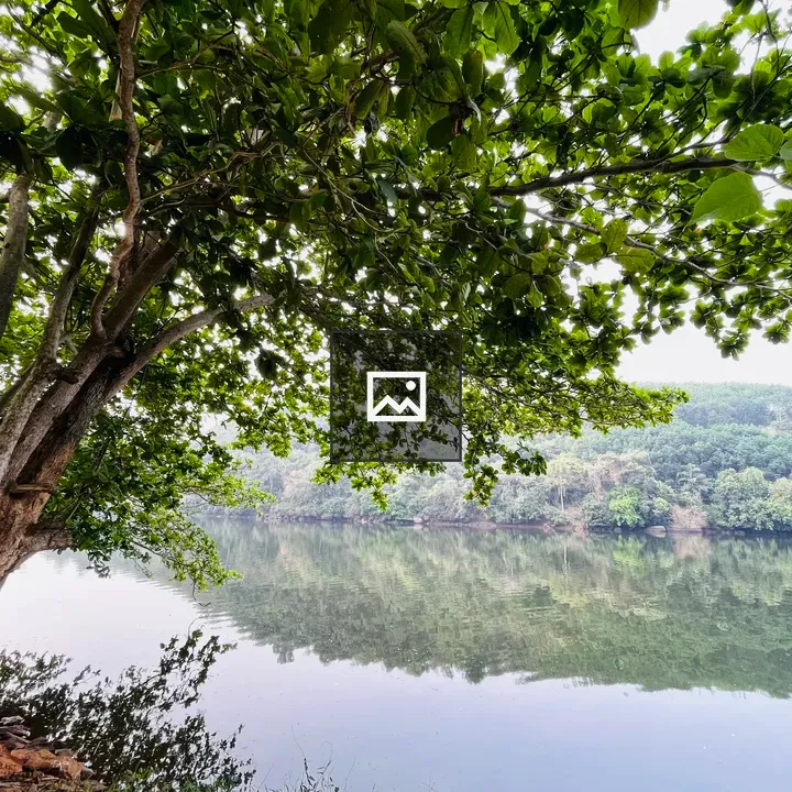 Shoreline at Chaliyar River