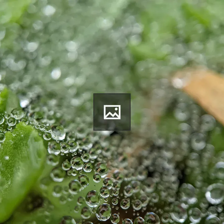 Water droplets on a spider's web