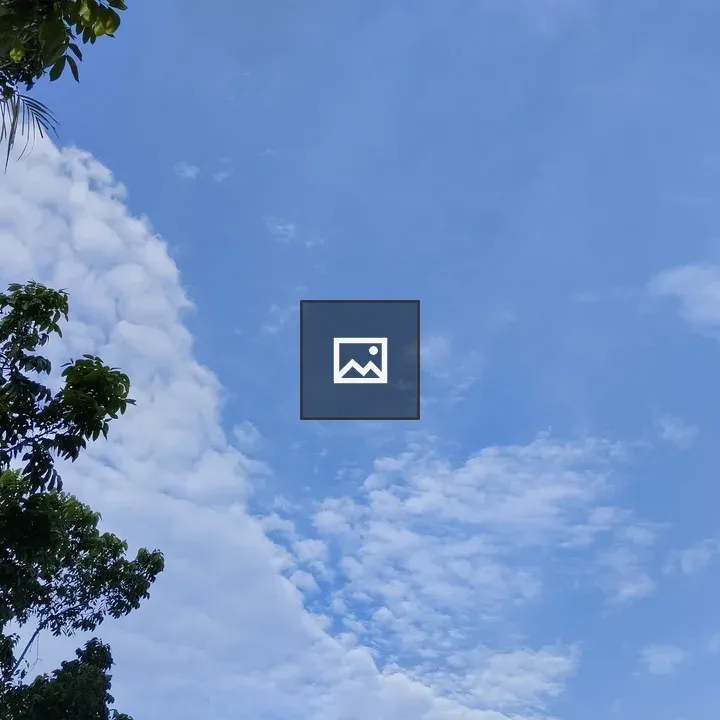 Blue Sky and Green Leaves