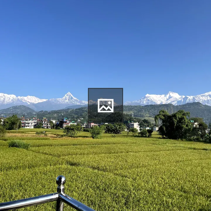 Snowy Mountains and Rice Fields