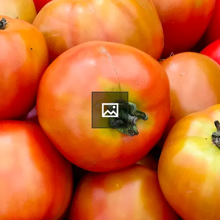 Tomatoes pile with warm gradient