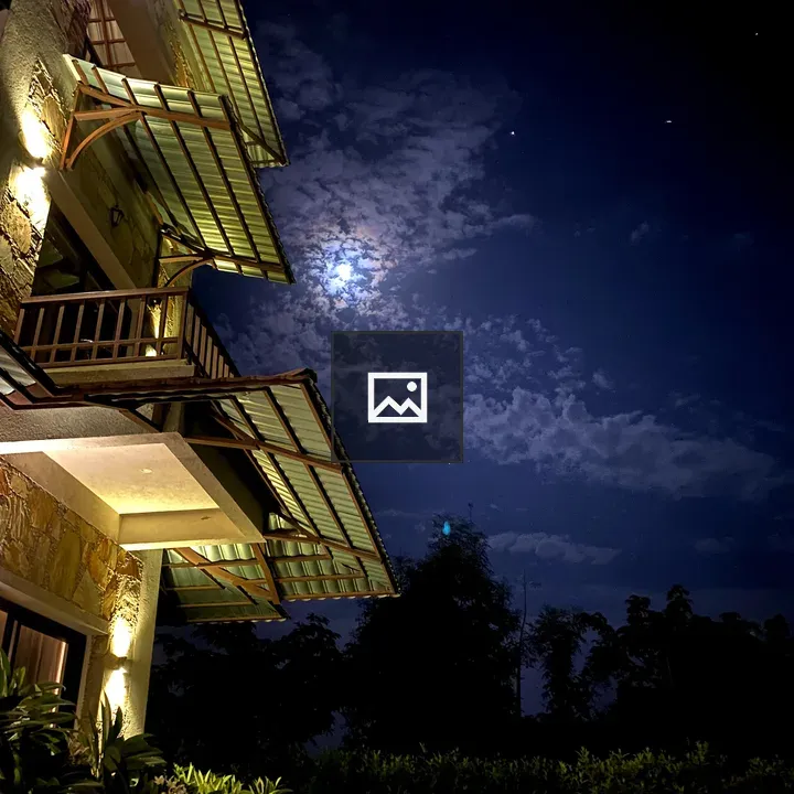 Night view of building under moonlight