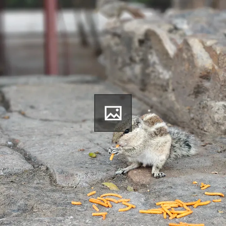 Chipmunk with Cracker on Steps
