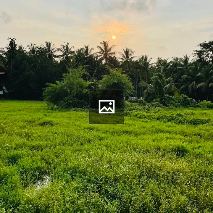 Sunset Hour Over Pantheerankave