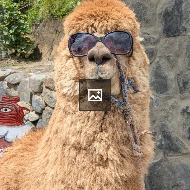 Alpaca with Sunglasses