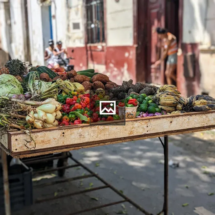 Street stall with produce