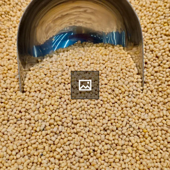 White urad dal under scoop