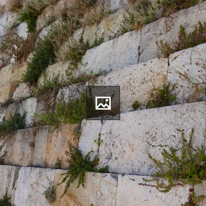 Plants growing out of blocks at the Acropolis