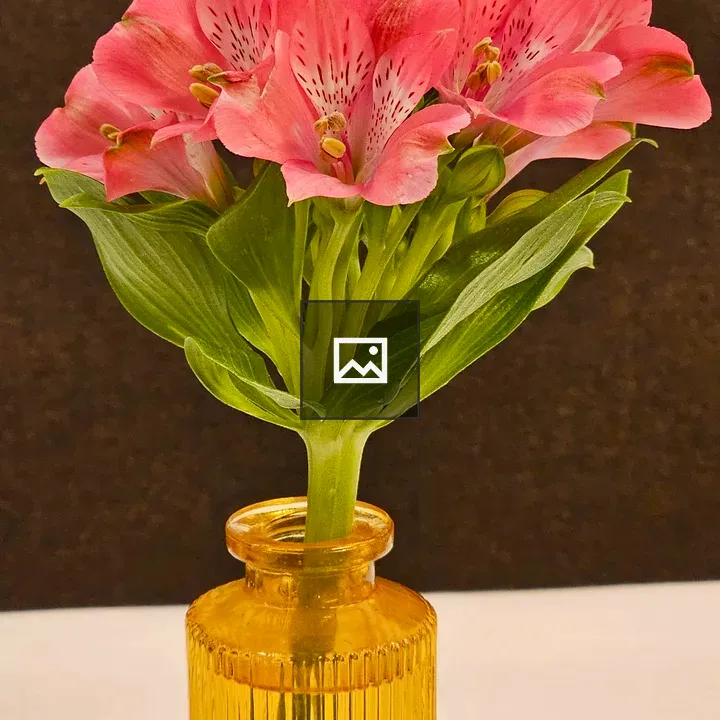Pink Alstroemeria Amposta Flowers