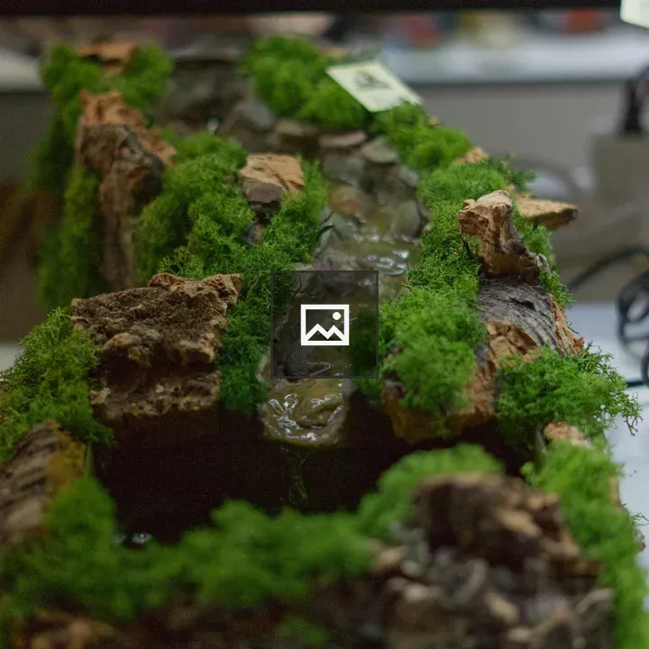 Miniature landscape with moss and stream
