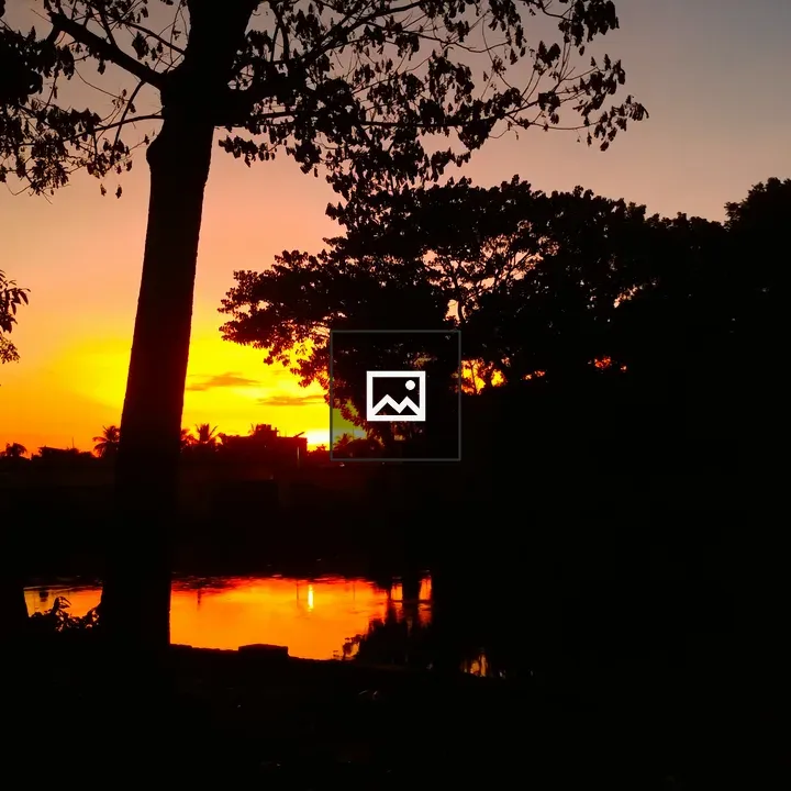 Sunset with silhouetted trees over pond