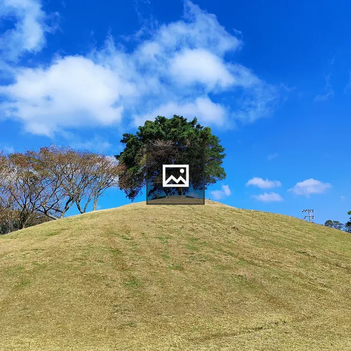 Lone tree on grassy hill