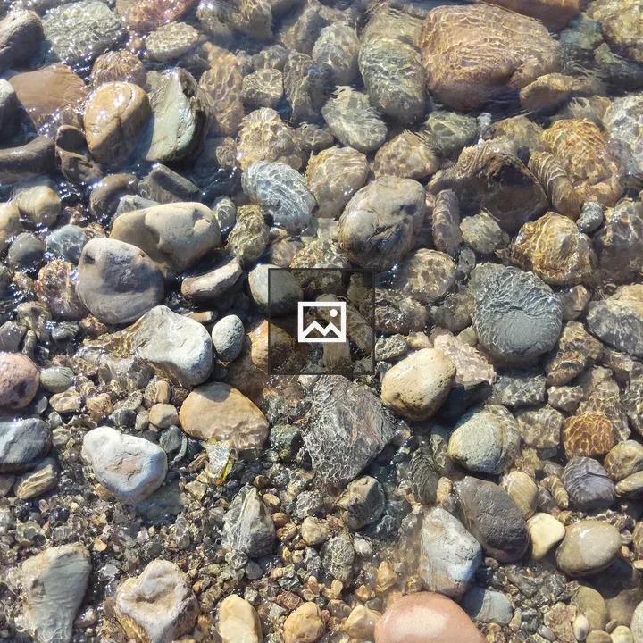 Pebbles in Sunlit Water