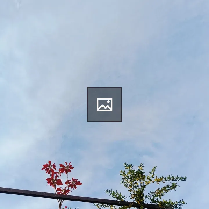 Flowers and blue sky