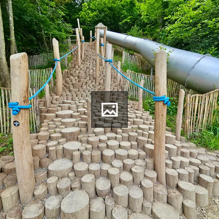 Wooden walking path through forest