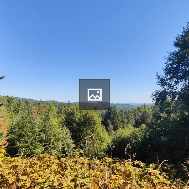 Viewpoint Forest and Horizon