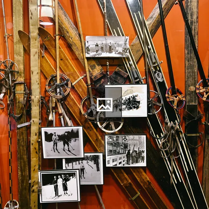 Glass Display of Vintage Skis