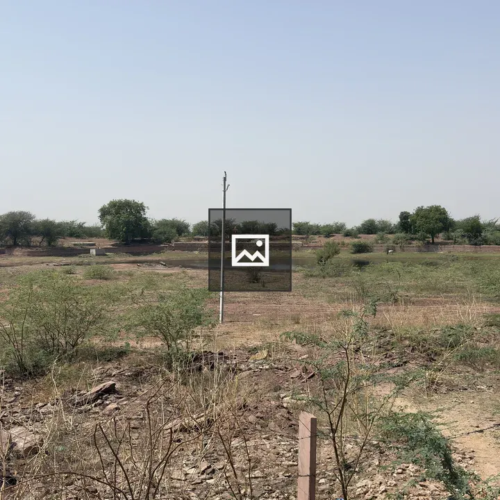 Dry savanna landscape