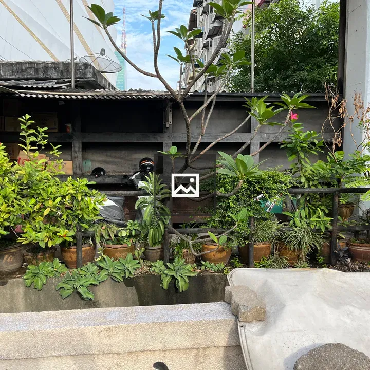 Tiny green space beside street in Bangkok