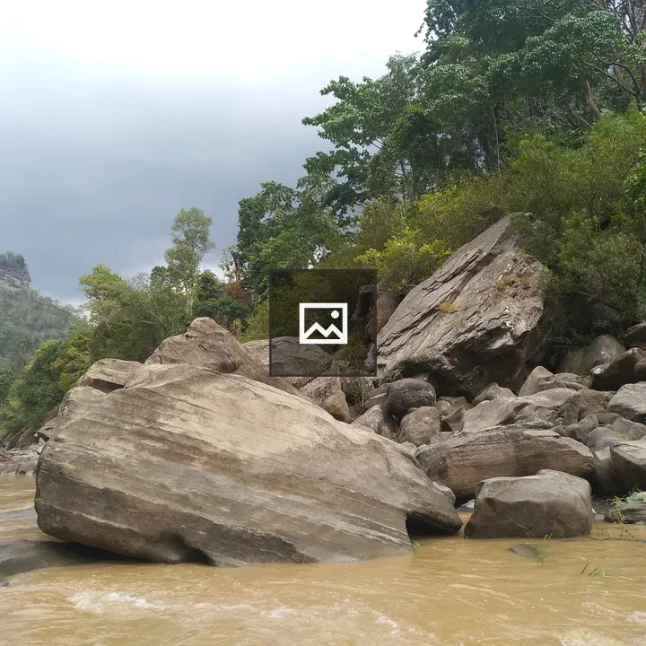 River with Rocks and Trees