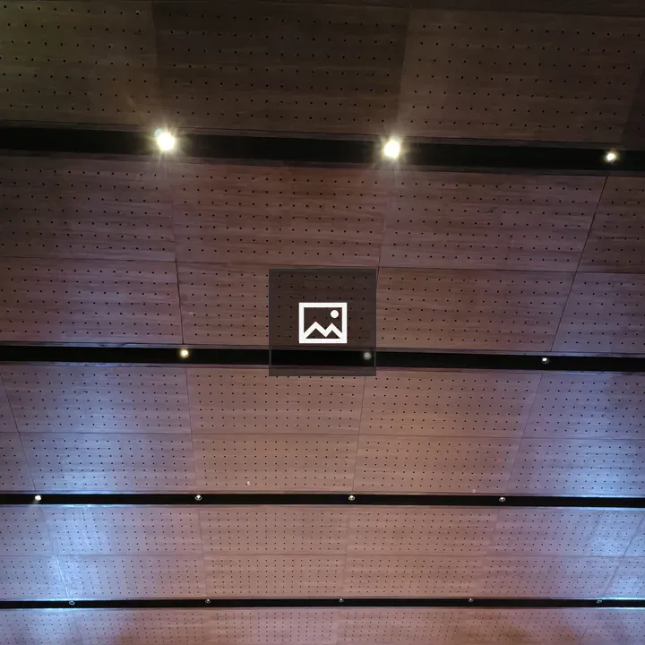 Wooden Ceiling with Holes