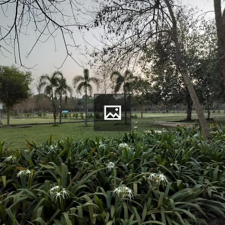 Evening park view